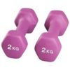 2kg Dumbbell