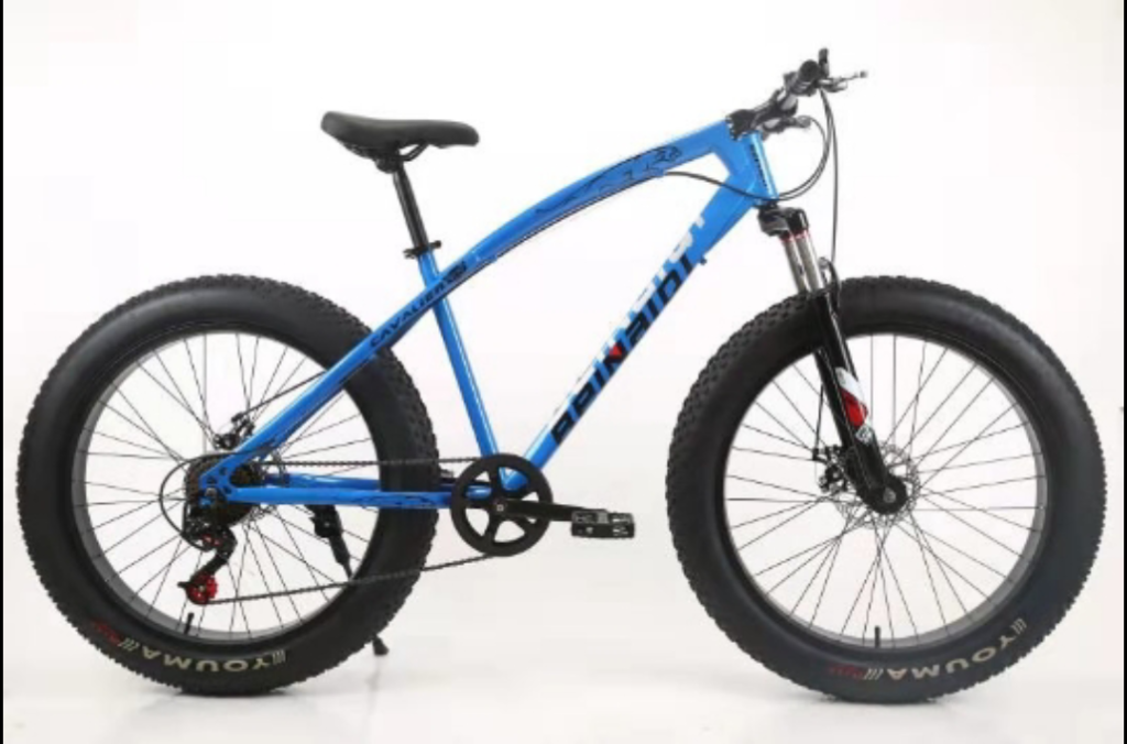 Fat Tyre Bicycle 26 inch 21 Speed